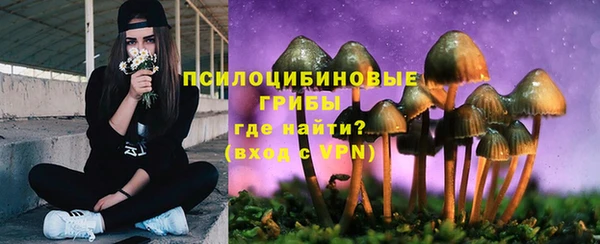 стаф Наволоки